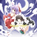 miko - grown baby's breath