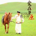关东阿宝 - 爱在草原