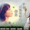 荷塘 - 不要让想你的人伤悲