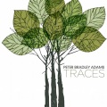 Peter Bradley Adams - I Cannot Settle Down