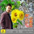 望海高歌 - 北方的山菊花
