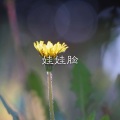 大飞、7妹 - 忘我Lose Myself