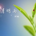 清明雨