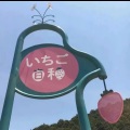 朴修夏ww - 像极了
