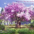 TECHNOBOYS PULCRAFT GREEN-FUND - Ambition