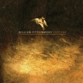 William Fitzsimmons、Christopher Walla - Fortune