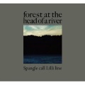 Spangle call Lilli line - zola