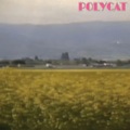 polycat - เวลาเธอยิ้ม