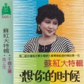 苏红 - 为了你
