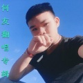 何友 - 带你回壮乡