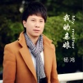 杨鸿 - 我的亲娘