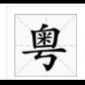 天智 - 夏日倾情 (Single Version)
