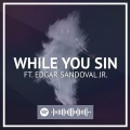 While You Sin (feat. Edgar Sandoval Jr)