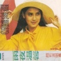 赵莉 - 期待再相会