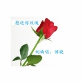 傅晓 - 想送你玫瑰