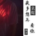 袁挺、扬沙 - 我多想再看你