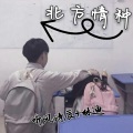 听风诗辰、林迪 - 北方情种