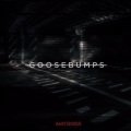 Goosebumbs (VIP Edit)