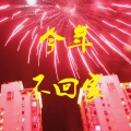 李晓俊 - 今年不回家