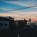 Beauvois - Limbs of Faith