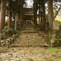 我々楽 - 精霊の棲む森