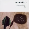 The Pastels - Rough Riders