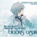 中原麻衣 - Blooms Again.