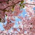 於天豪、江瑶 - 半生年华
