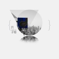 子猫 - 在风起风落的霎那