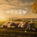 歌者老九 - 再也不是你