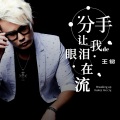蒋婴 - 情路过客 (DJ凯圣版)