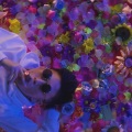 OHEY、Rich Brian - Glow Like Dat
