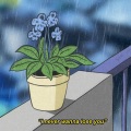 Snøw、Teqkoi - I never wanna lose you
