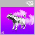 RADIO FISH - ULTRA TIGER