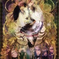 DEBUTANTE4