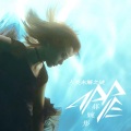 郝婉彤 - 人类未解之谜