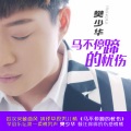 樊少华 - 马不停蹄的忧伤