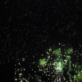 ryuryu - Fallen Star