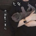 沈辞墨、莫七 - 七年