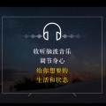 李哈哈哈 - 20.阿尔法脑波[学习音乐]1