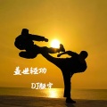 DJ颜宇、语音表哥 - 盖世轻功