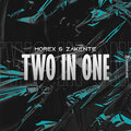 Two in One