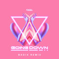 Badix、RICZA - Going Down (Badix Remix)
