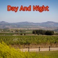 DJ熊庆龙 - Day And Night (DJ版)
