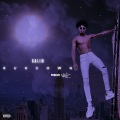 Salim - Run Down