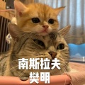 九千七 - 南斯拉夫