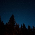 Birds In The Forest、夜声、自然声带、蝉声 - 蝉听起来轻松