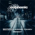 Beatsole、Eugenio Tokarev - Midnight (BrynLiedlRemixExtended)