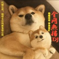 杨硕哥哥、李浩岩吖 - 迷人口哨 (Remix)