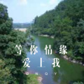 丫海 - 当爱离别时 (DJ版)